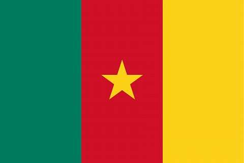 Камерун флаг