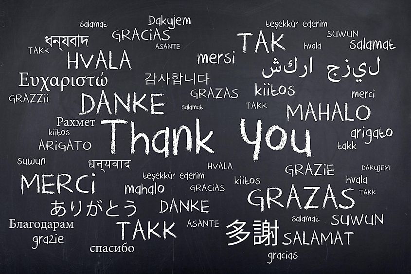 «Спасибо» на разных языках.