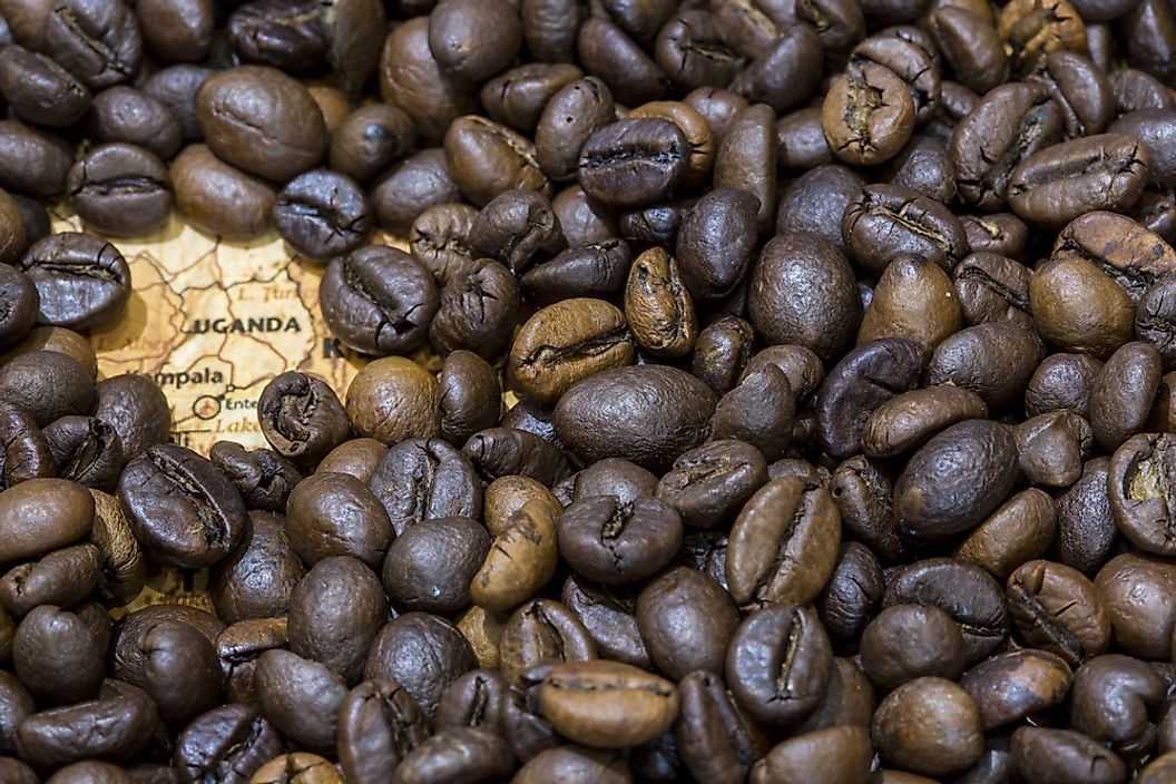 Крупнейшие производители кофе Уганда
