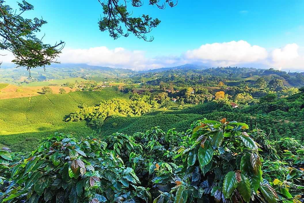 Крупнейшие производители кофе Колумбия
